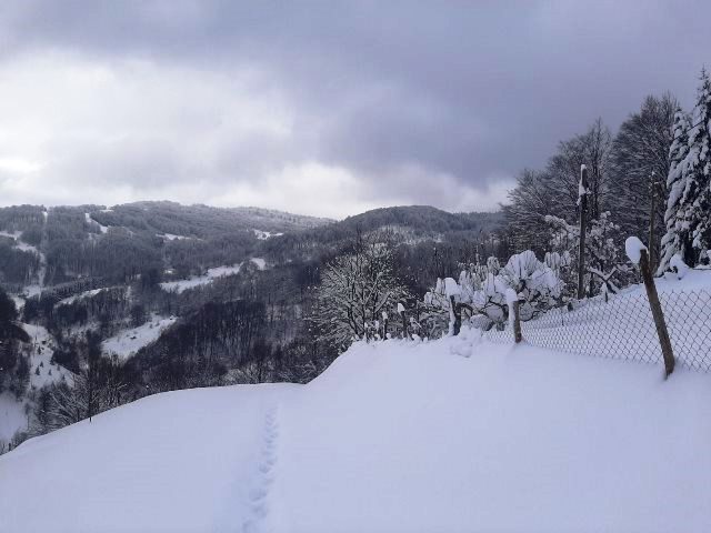 KrivaReka 301219c