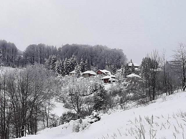 KrivaReka 301219l