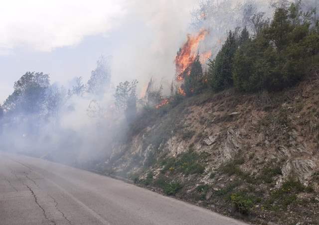 Osredci pozar1505203