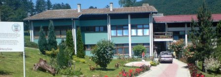 pu pahuljice brus