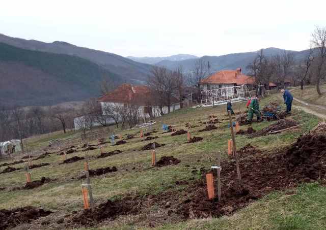 Agroradovi BG0221