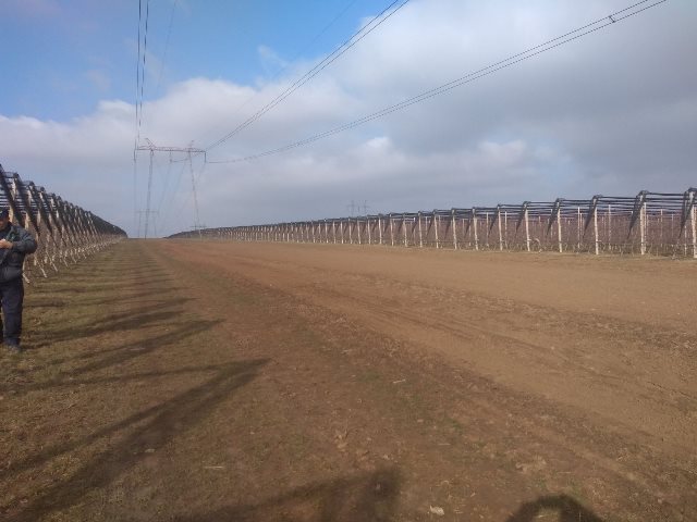 Rezaci20204