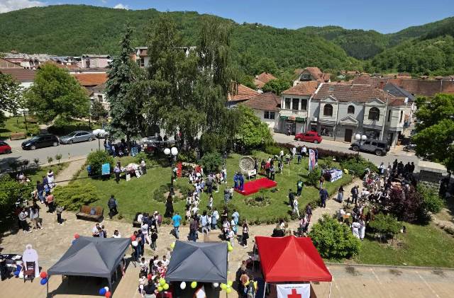 Brus Danporodice0525a