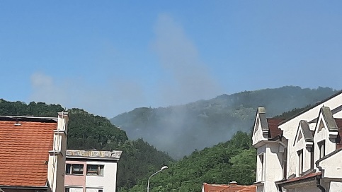 Brus dimDeponija0522