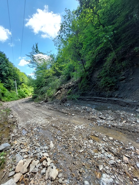 GLipovac0723i