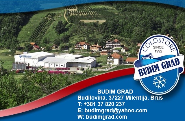 BudimGrad