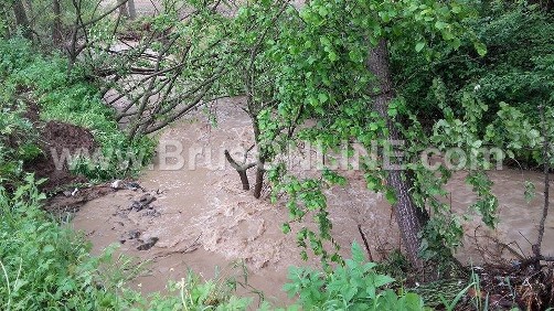 MVrbnica 040516 02