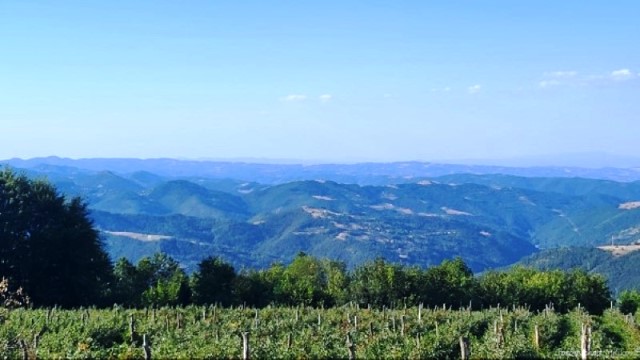Sosice pogled060826