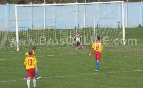 Kop petlici