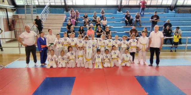 JKBrus pojasZ0621a
