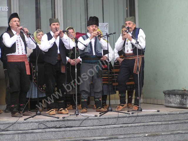 Brus SvTrifun2013a