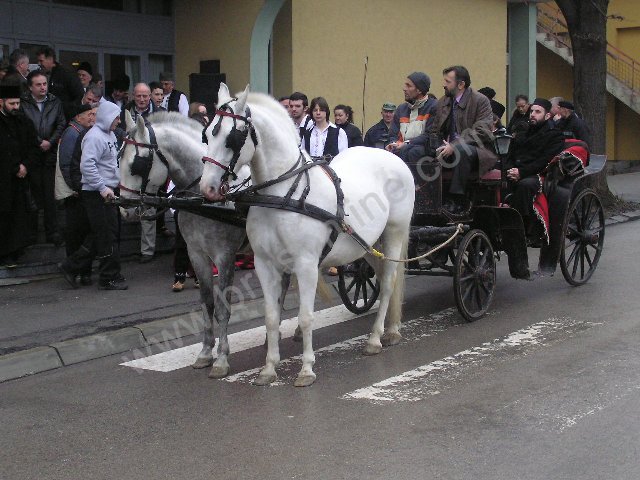 Brus SvTrifun2013d