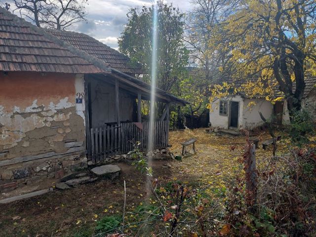 Glisicevidani2018a