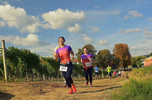 ZupskiVinskiMaraton1