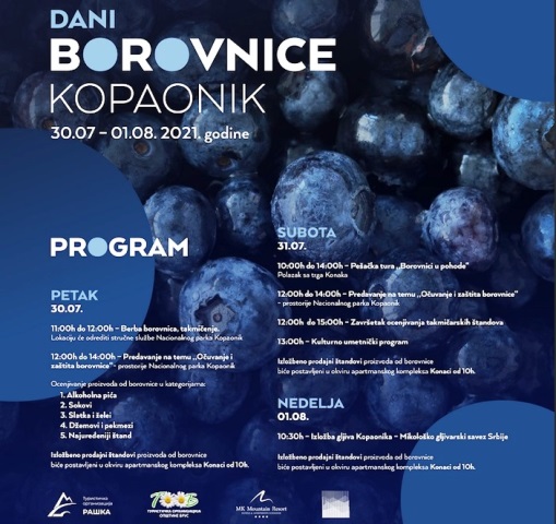 Kop DaniBorovnice2021