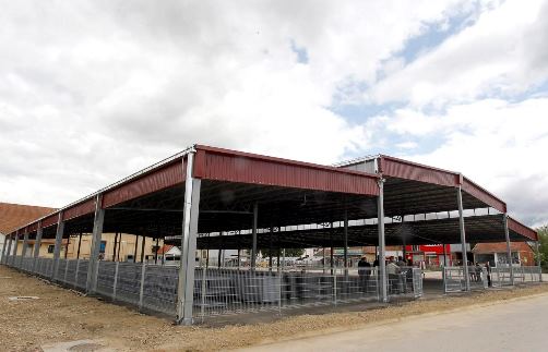 EUprogres Leb Dolj 0517 1