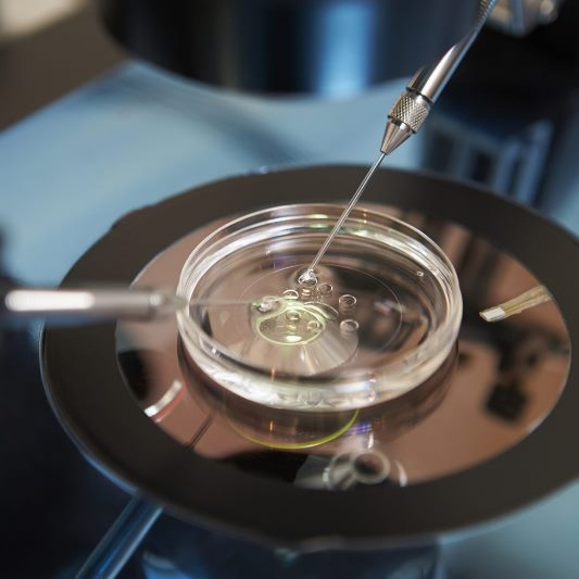 MediGroup VantelesnaOplodnjaCovid1