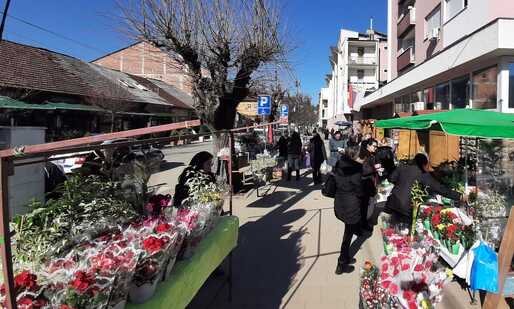 Brus 8mart011