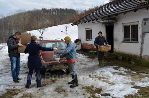 Bogise MNRL0217 6