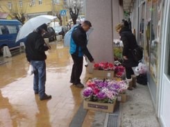 Brus 0803 17 01