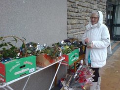Brus 0803 17 03
