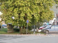 Cesi161016 08