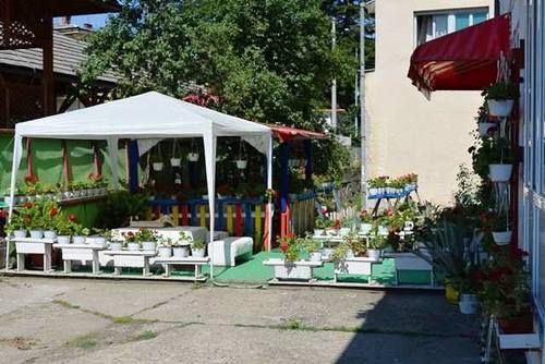 Knez basta017a