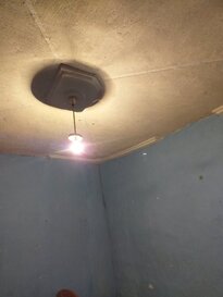 LazarevicM Botunja12202
