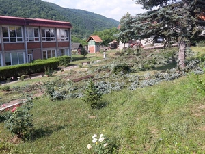 OSBrus secenjestabala0721b