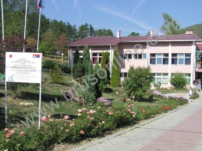 vrtis