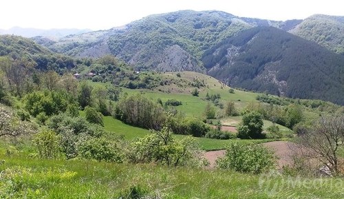 Blazevo 130517 1