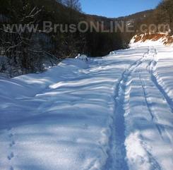 Borance280117 1