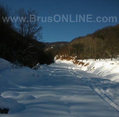 Borance280117 2