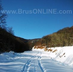 Borance280117 3