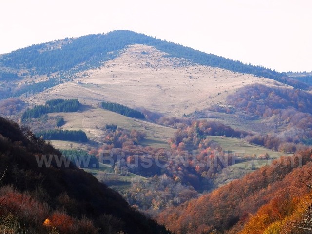 Djerekare panorama