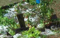 Grad Bat 030517 2