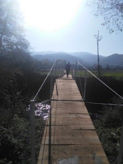 Most031115 2