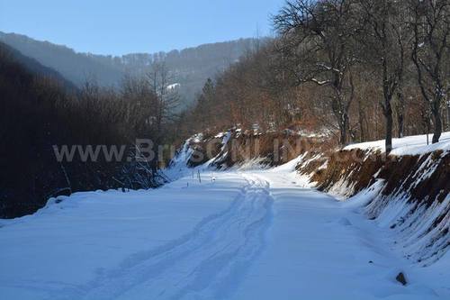 Put Stanulovici290117jpg