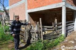 Radman Pav 050517 1