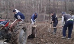 Vukovici gornji012016 2
